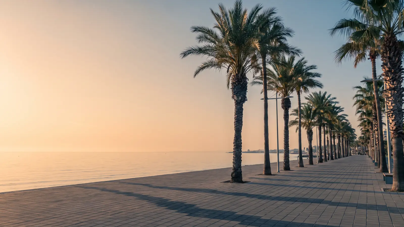 Palm trees along the Finikoudes promenade in Larnaca